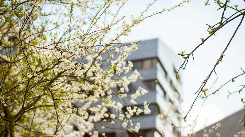 Zentralgebäude_Frühling