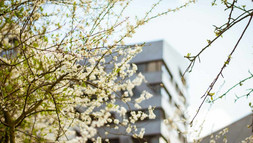 VHB: Heimspiel für eine nachhaltige BWL