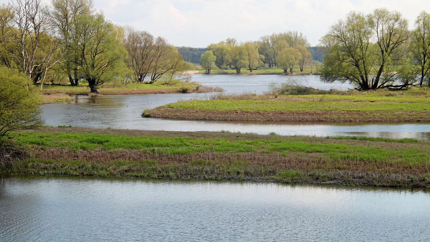 Wasser, wohin das Auge reicht – Die Elbe und ihre Nebengewässer (hier bei Stiepelse in der Gemeinde Amt Neuhaus) sind die Hauptschlagadern des Biosphärenreservats