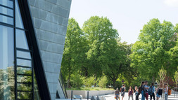 Nachhaltigkeitsmanagement – Themen und Trends 2023