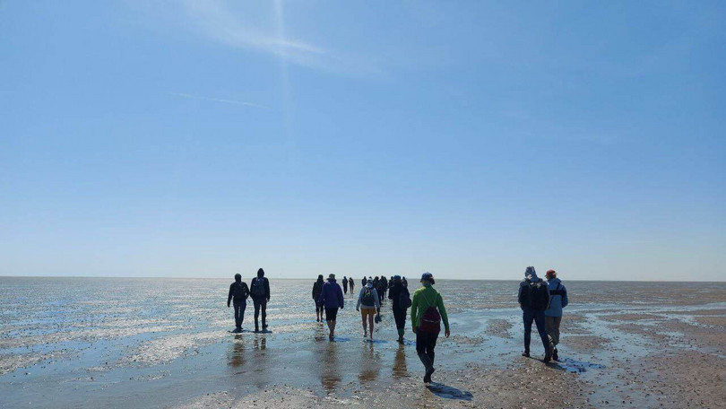 Warften, Wattwürmer und Windböen – Eine Exkursion zur Hallig Hooge