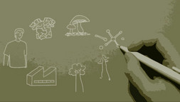 20 Jahre MBA Sustainability Management