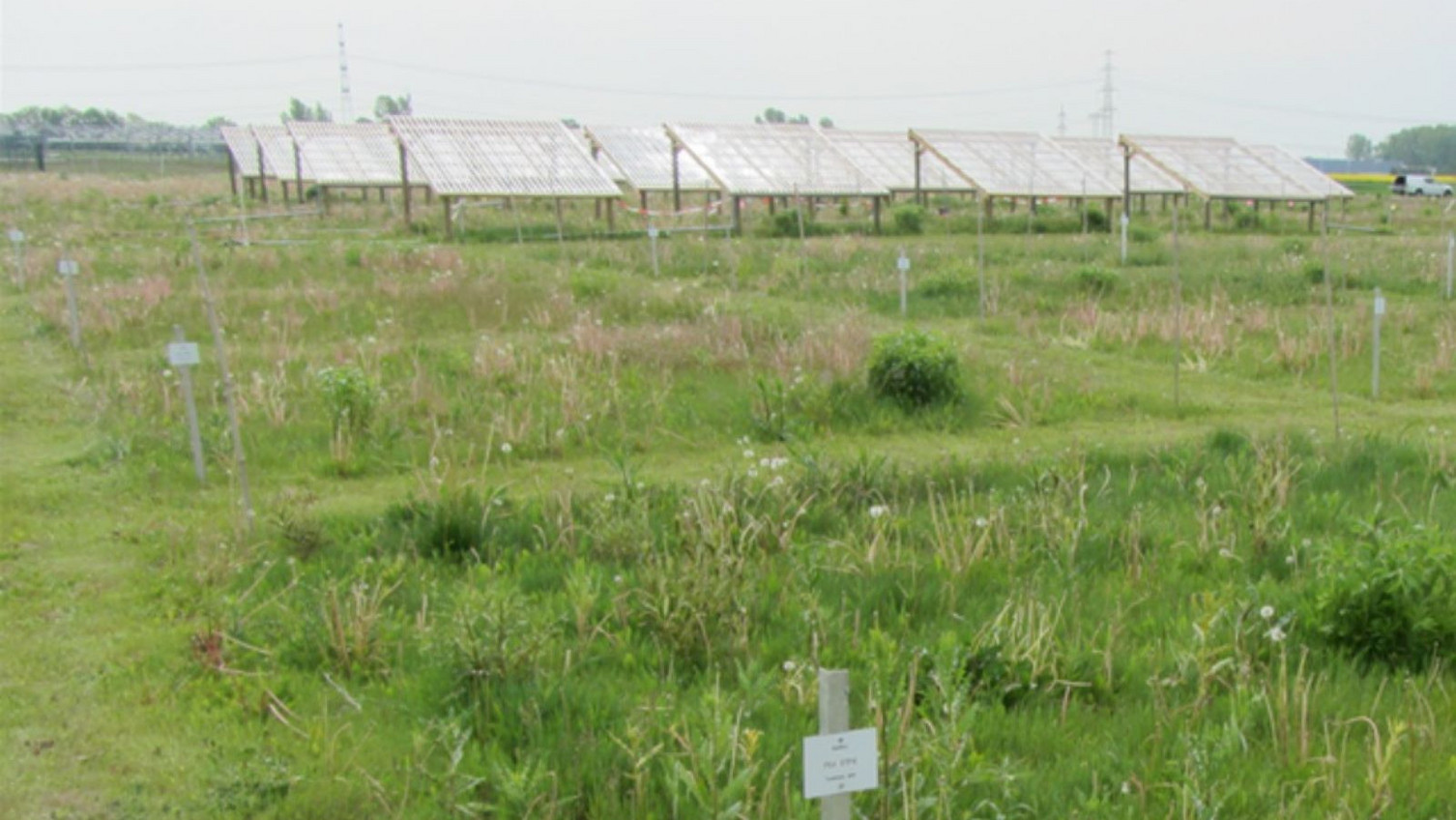 NutNet experimental area