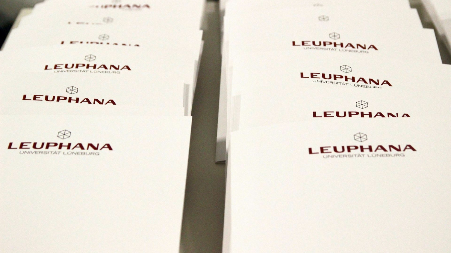 Study requirements Leuphana