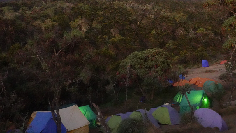Der Wert der Natur: Forscherin erklimmt Kilimandscharo, um Krebs zu heilen
