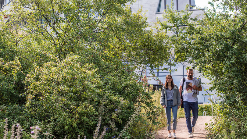 Studierende im Biotopgarten