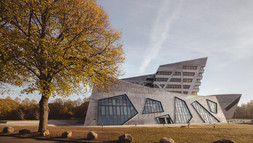 Laubbaum_Herbst_Zentralgebäude