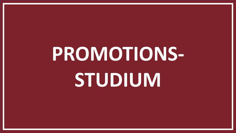 Strukturierties Promotionsstudium