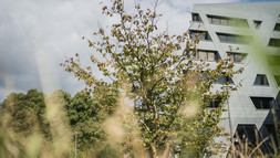 Natur vor dem Zentralgebäude