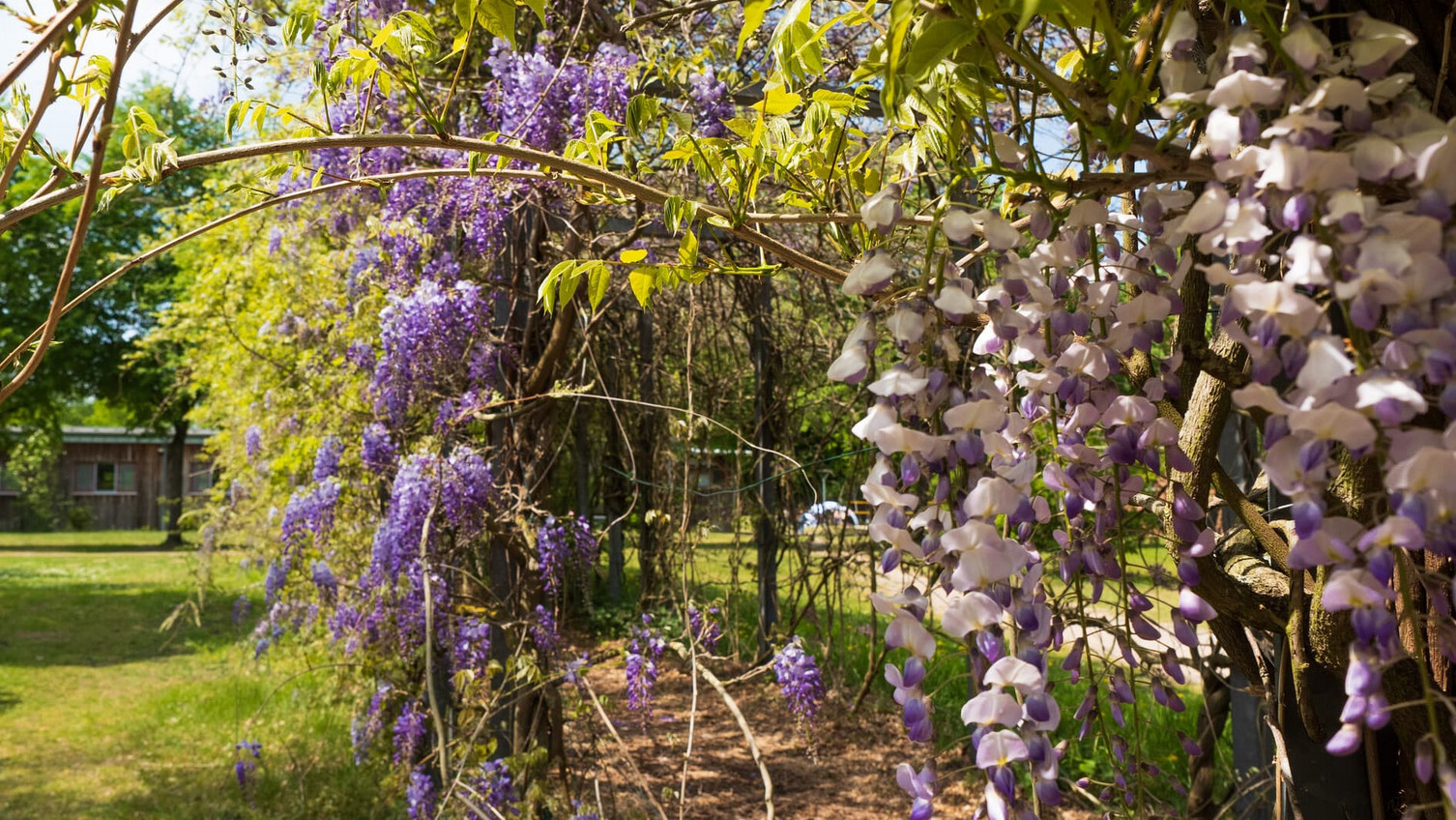 Also unobtrusively self-evident on campus: sustainability efforts pay off.