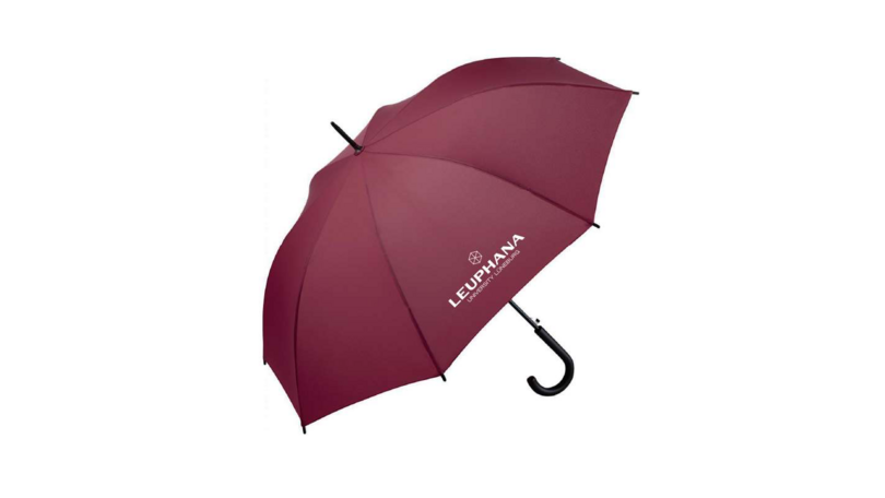 Leuphana Regenschirm