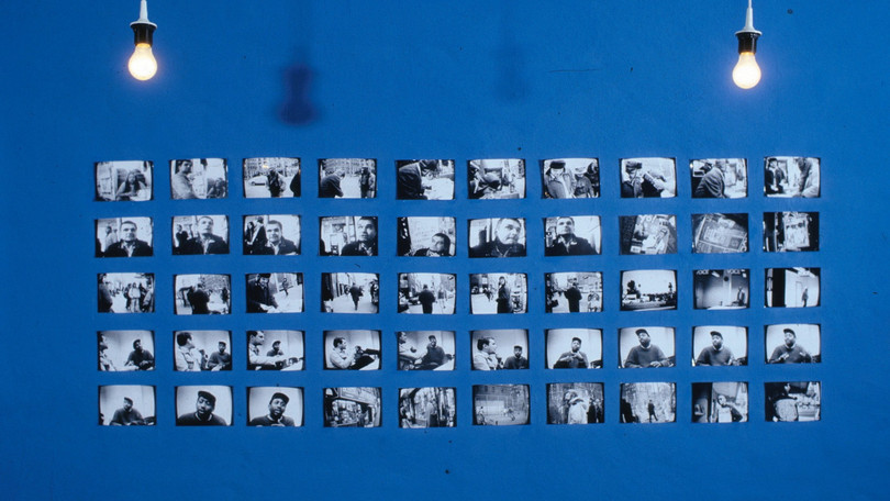 Renee Green „Import Export“, 1994