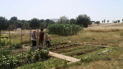 Basisprogramm Praxisphase: Wie Erkenntnisse aus Erfahrungen hervorsprießen